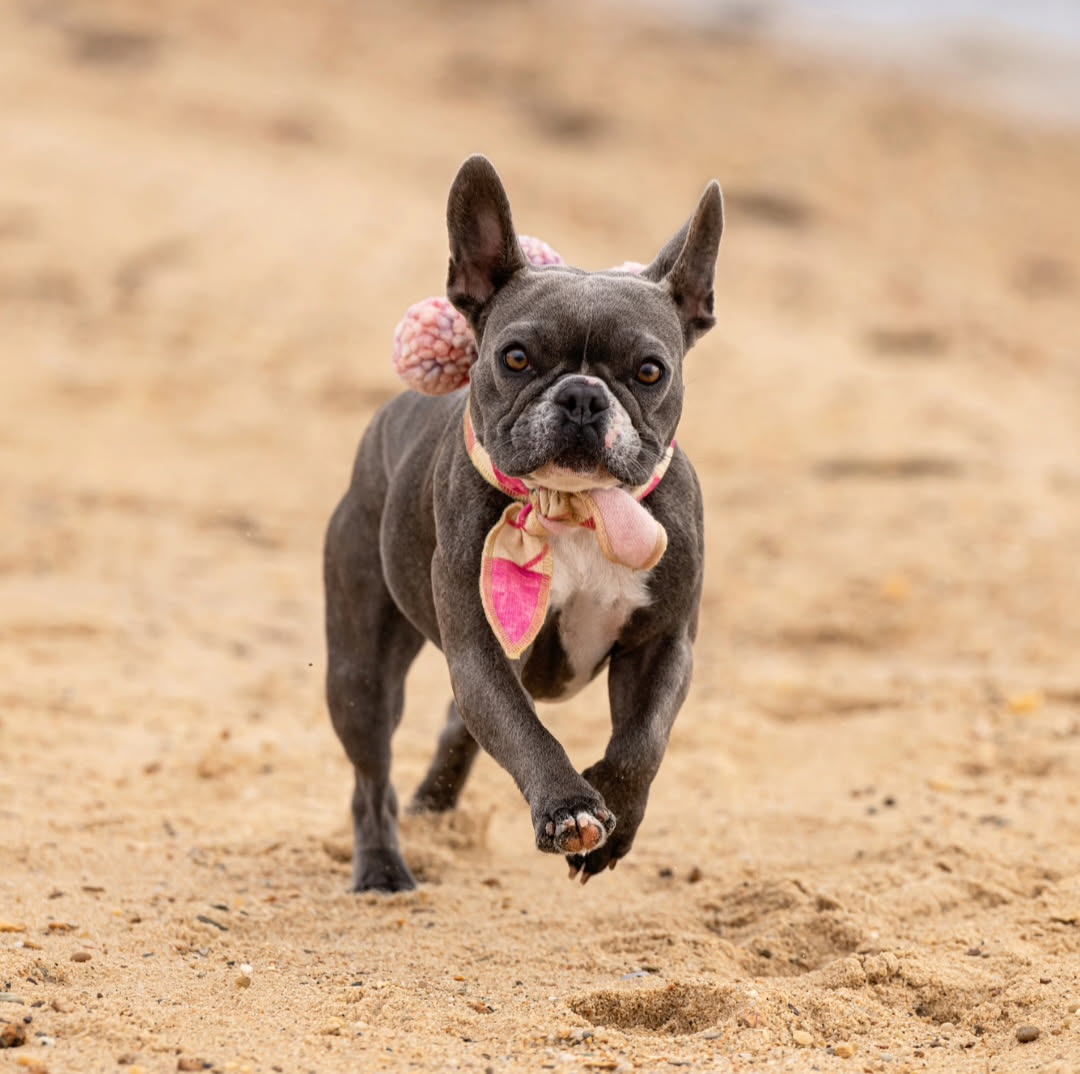 Pom Scarf Ties | cashmere-lined