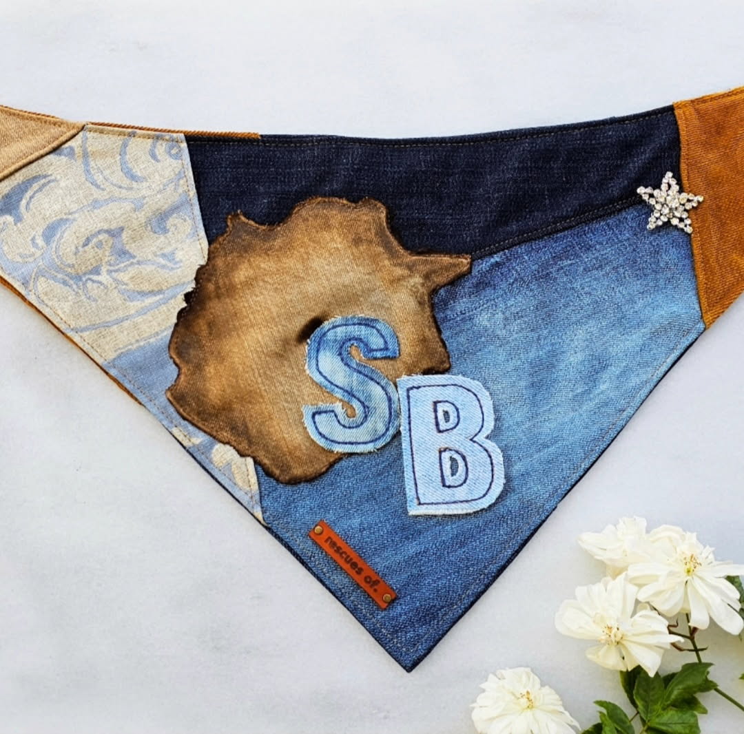 Denim rescue dog bandana with 'SB' initials for Santa Barbara and a rhinestone brooch on a white background